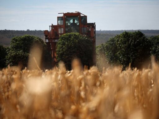 Executivos em reunião de planejamento no setor do agronegócio.