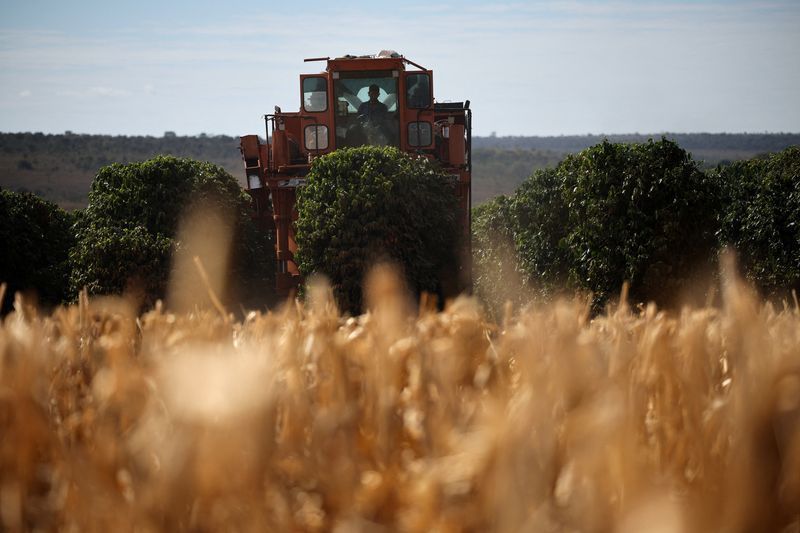 Executivos em reunião de planejamento no setor do agronegócio.
