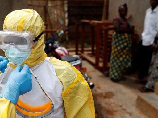 Representação microscópica do vírus Ebola em ambiente laboratorial.
