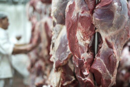 Caminhão de transporte de carne bovina para exportação.