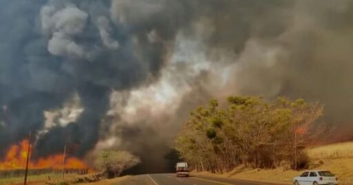 Equipes de monitoramento ambiental em rodovias de São Paulo.