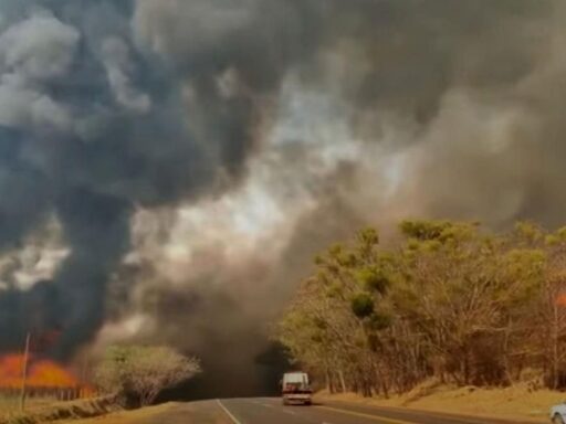 Equipes de monitoramento ambiental em rodovias de São Paulo.