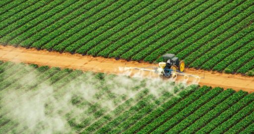 Sacos de fertilizantes em armazém agrícola.