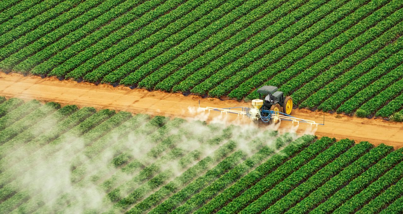 Sacos de fertilizantes em armazém agrícola.