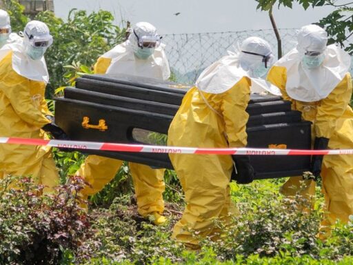 Representante da OMS discute riscos do surto de Ebola na África.