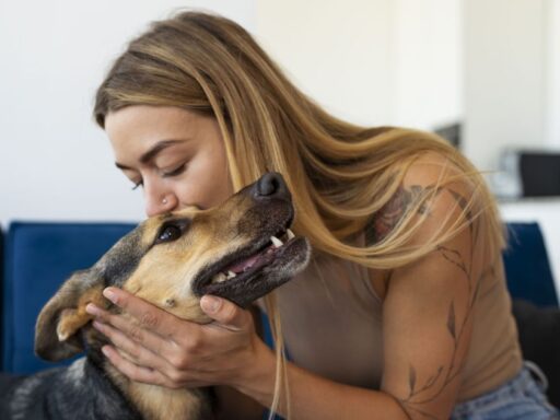 Pessoa interagindo com um cão em um ambiente doméstico.