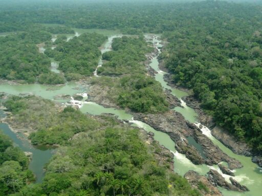Vista aérea da Floresta Nacional do Jamanxim.