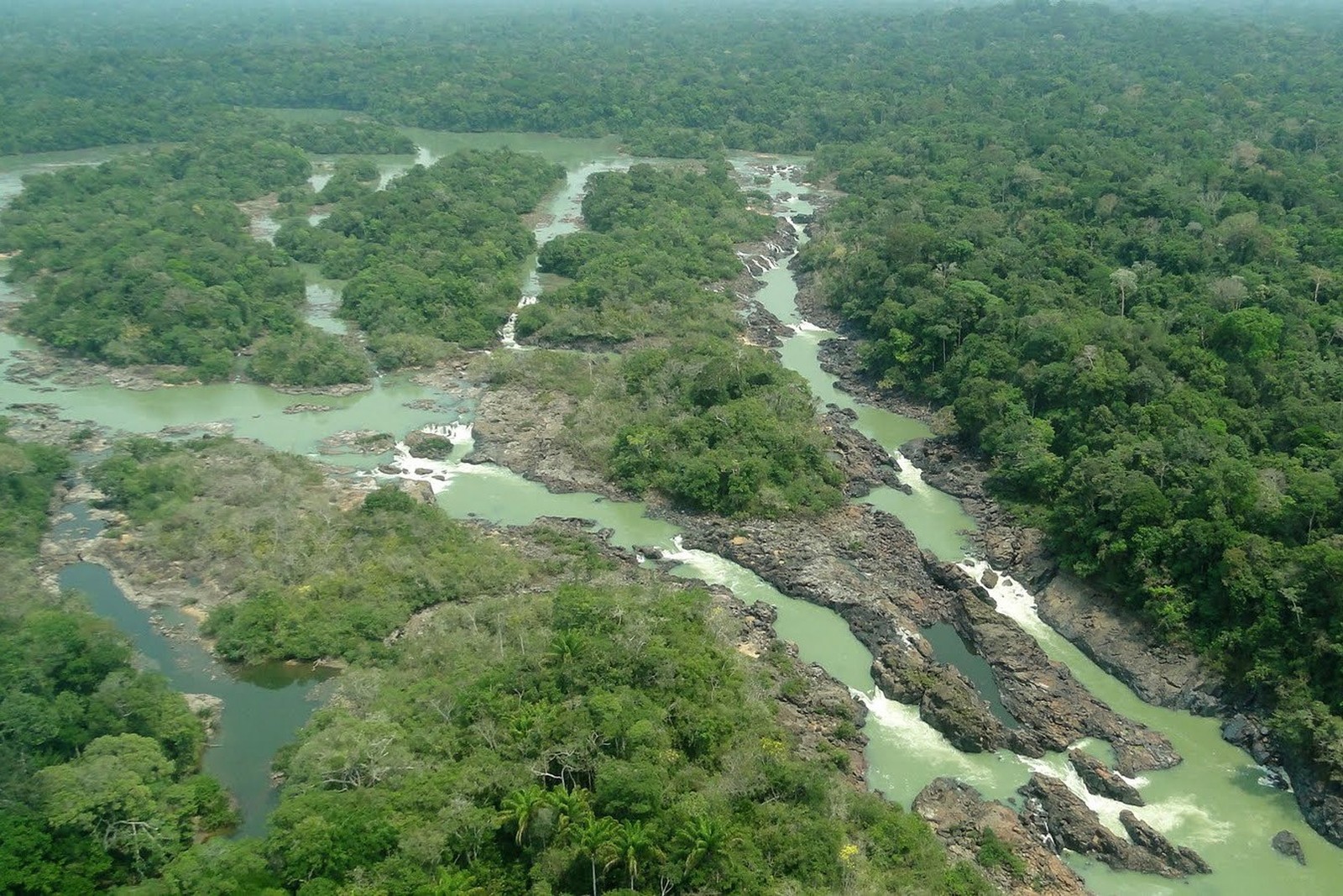 Vista aérea da Floresta Nacional do Jamanxim.