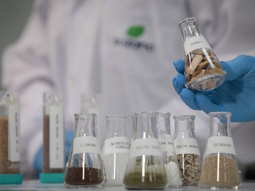 Suzano (SUZB3) registra lucro de R$ 4,3 bilhões no 1º trimestre, impactado pelo câmbio em contexto de Finanças do Brasil