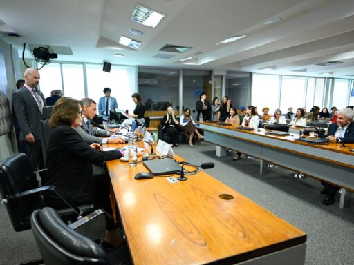 Comissão do Senado aprova projeto que suspende diretrizes sobre aborto legal em menores em contexto de Política Econômica
