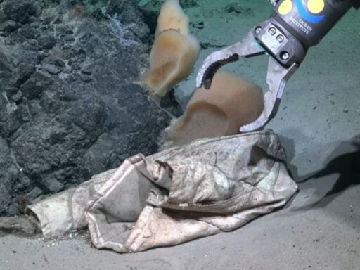 Jaqueta encontrada por drone submarino a 3 mil metros de profundidade.