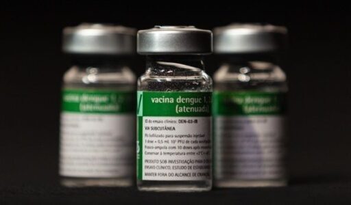 Frasco da vacina contra a dengue desenvolvida pelo Instituto Butantan.