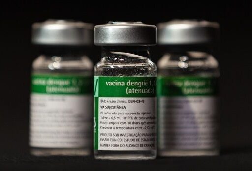 Frasco da vacina contra a dengue desenvolvida pelo Instituto Butantan.